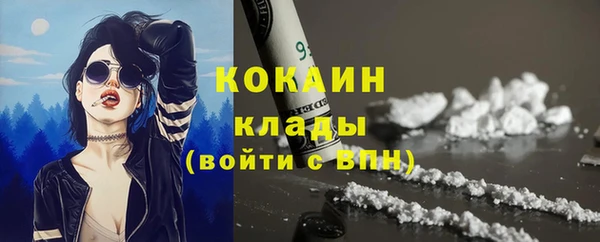 Альфа ПВП Новозыбков