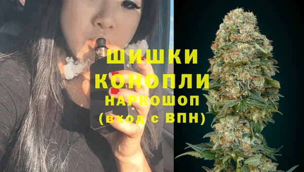 Альфа ПВП Новозыбков