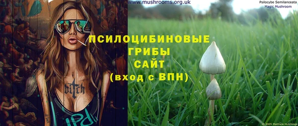 мдпв Бугульма