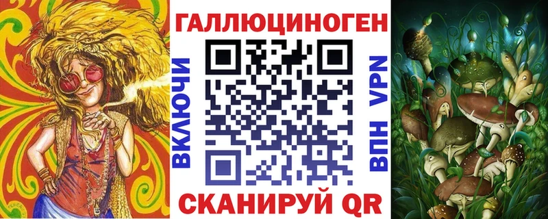 продажа наркотиков  Заводоуковск  Псилоцибиновые грибы MAGIC MUSHROOMS 