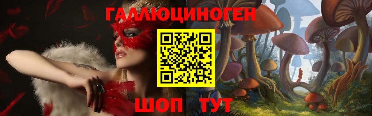 Псилоцибиновые грибы прущие грибы Заводоуковск